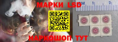 a pvp Славгород