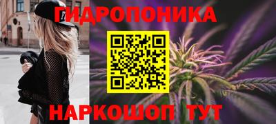a pvp Славгород