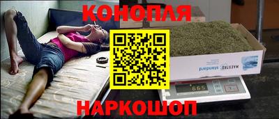 a pvp Славгород
