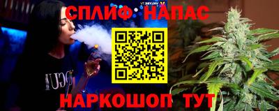 a pvp Славгород